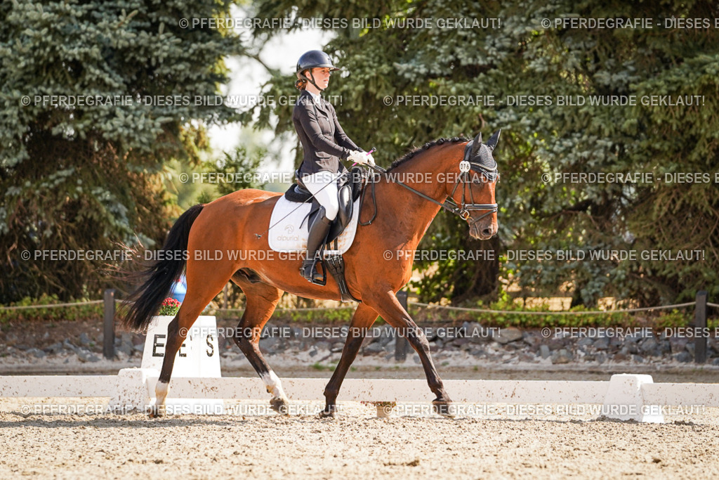 DSC00502 | Pferdegrafie