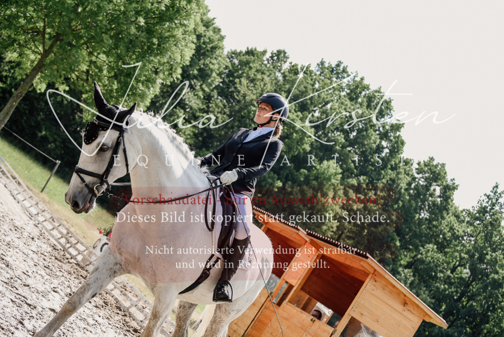 DSC_0387 | Pferde- und Turnierfotografie in Westsachsen. Pferdeportraits, Auftragszeichnungen und intuitive Kunst.