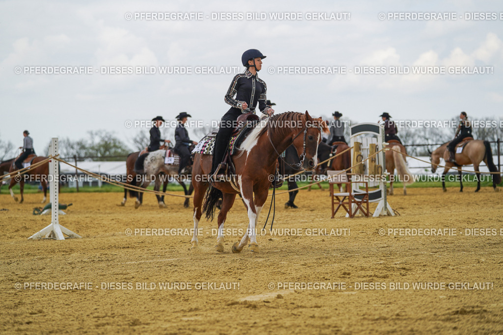 DSC06324 | Pferdegrafie