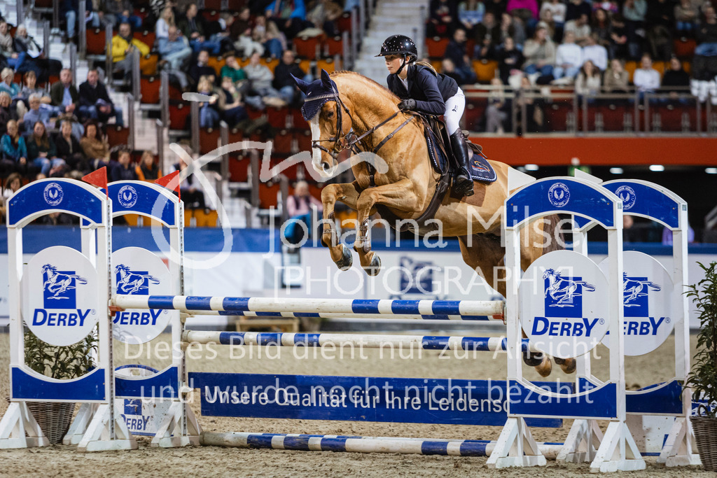 250108_Muenster_Hengstpräsentation-131 | Deine schönsten Turniermomente als professionelle Fotos! Entdecke hochwertige Pferdesport-Fotografie im Online-Shop. Jetzt Fotos finden & bestellen!
