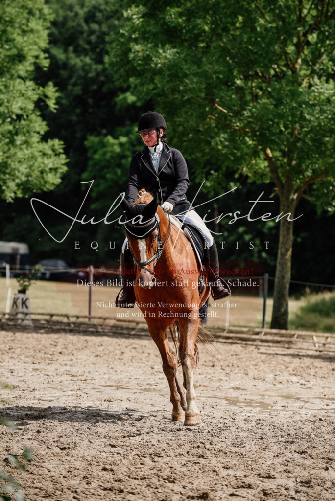 DSC_0667 | Pferde- und Turnierfotografie in Westsachsen. Pferdeportraits, Auftragszeichnungen und intuitive Kunst.