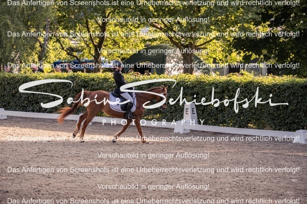 2025_05_31_DSCF2664 | People- und Tierfotografie, Imageaufnahmen, Veranstaltungsfotografie und Wandbilder aus der Natur ★ Made in Germany ✔️ Druck + Downloads ✔️ Naturfotografie in Top Qualität ★ schneller Versand, weltweite Lieferung! - Realisiert mit Pictrs.com