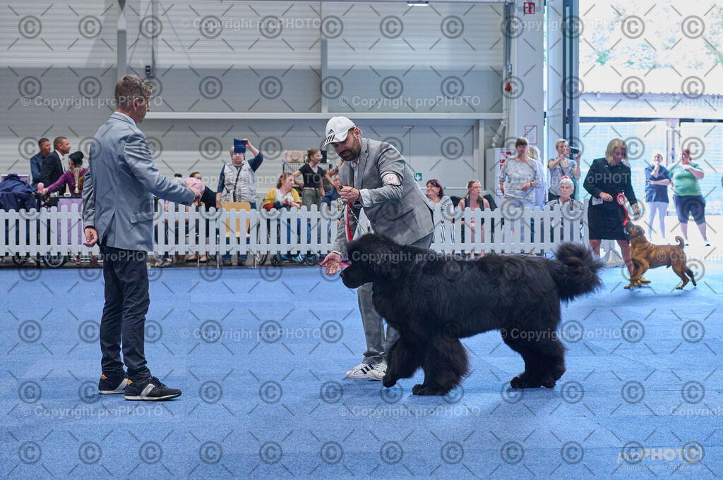 202406_ÖKV-IHA-Tulln24_DSC_4957 | proPHOTO - Realisiert mit Pictrs.com