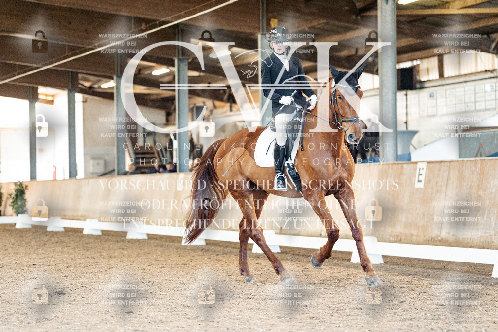 CK908734 | Turnierfotografie Pferdefotografie Trier Rheinland-Pfalz Pferdesport Reitsport Tierfotografie Sportfotografie Pferdevideo Pferdevideografie Equestrianvideography equestrianphotography  - Realisiert mit Pictrs.com
