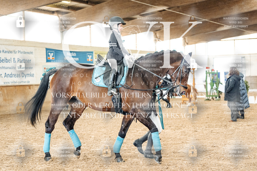 CK905561 | Turnierfotografie Pferdefotografie Trier Rheinland-Pfalz Pferdesport Reitsport Tierfotografie Sportfotografie Pferdevideo Pferdevideografie Equestrianvideography equestrianphotography  - Realisiert mit Pictrs.com