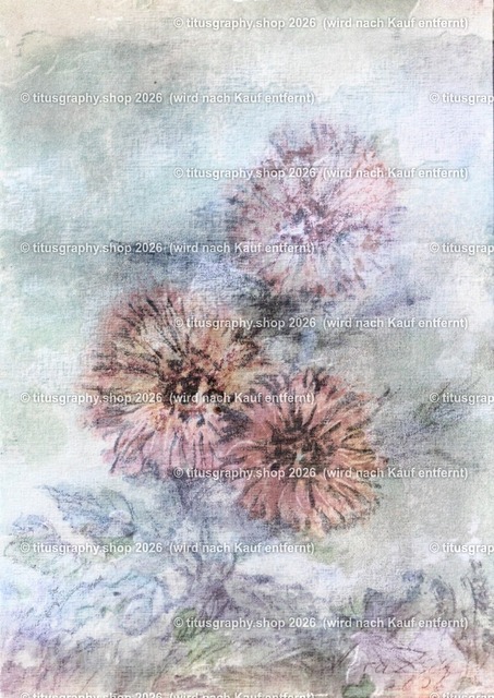 Asterngruß Variation 28 | Zeichnung von Vera Zschecked exclusiv auf titusgraphy.eu - Realisiert mit Pictrs.com