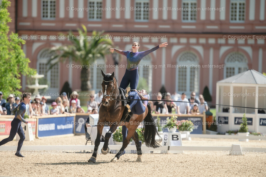 20230528_Voltigieren_NASPA_0443 | equistock