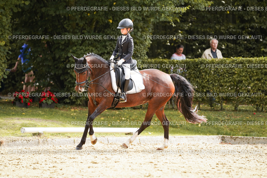 DSC01279 | Pferdegrafie