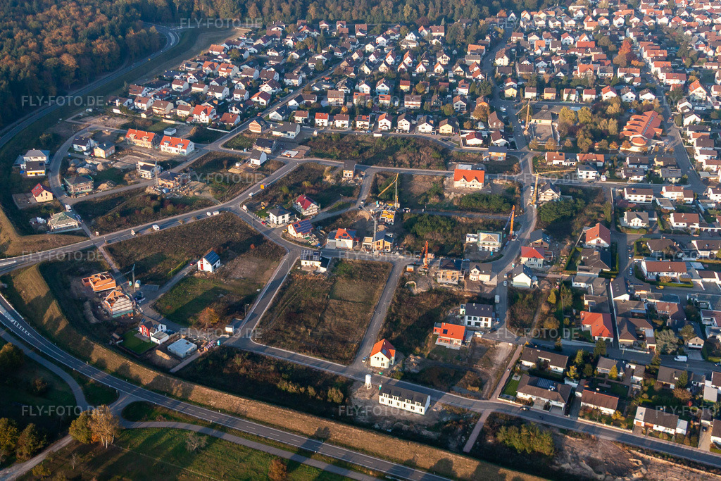 Luftbild: Forstlandallee in Jockgrim im Bundesland Rheinland-Pfalz in Deutschland. Foto: IMG_46132.jpg vom 23.10.2011 durch Werner Riehm/FLY-FOTO.de
