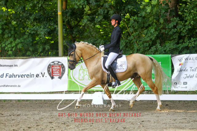 DKP42478 | Turniersportfotografie; Pferdefotografie; Dressurfotografie