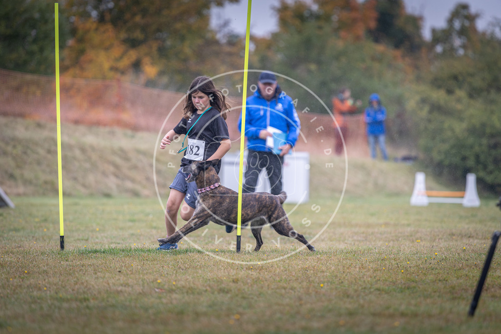 Pfotenfotografie_DV3A9965 | Hundefotografie, Tierfotograf, Pfotenfotografie, Fotoshooting Hund, Hunde Portrait, Hundesport, Hundeportraits, Heideshooting, Hunde, Sportfotograf, Hundefotograf, Turnierhundsport, THS,  - Realisiert mit Pictrs.com