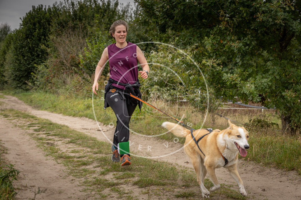 Pfotenfotografie_DV3A6556 | Hundefotografie, Tierfotograf, Pfotenfotografie, Fotoshooting Hund, Hunde Portrait, Hundesport, Hundeportraits, Heideshooting, Hunde, Sportfotograf, Hundefotograf, Turnierhundsport, THS,  - Realisiert mit Pictrs.com