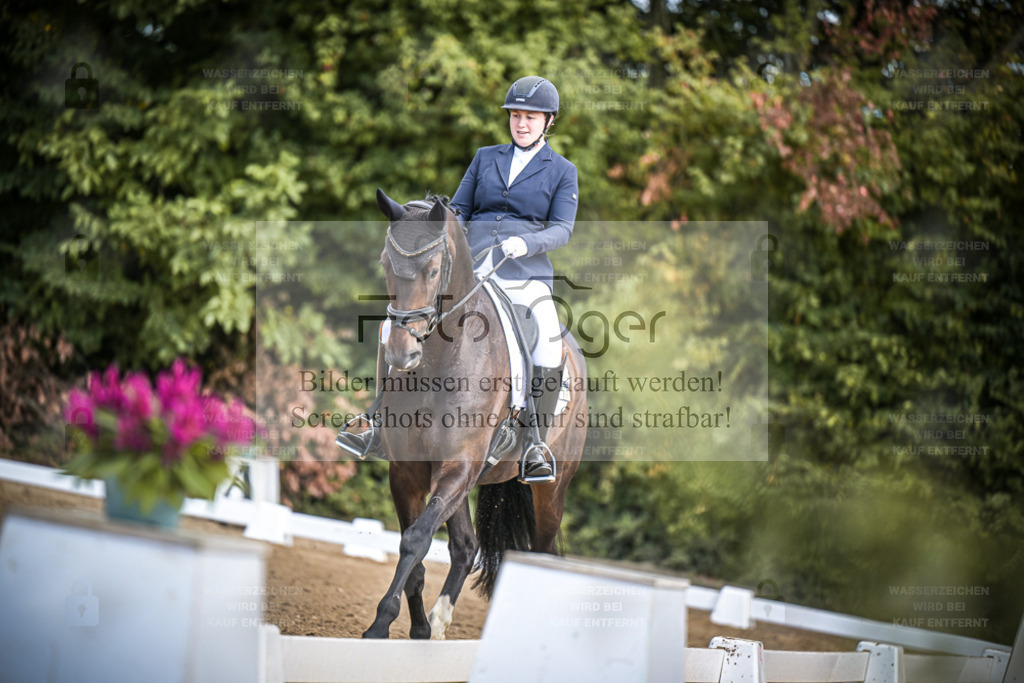 DOS_4207 | Entdecke hochwertige Reitturnierfotos von Foto Oger. Professionell, emotional und authentisch – jetzt Lieblingsmomente im Shop bestellen. - Realisiert mit Pictrs.com