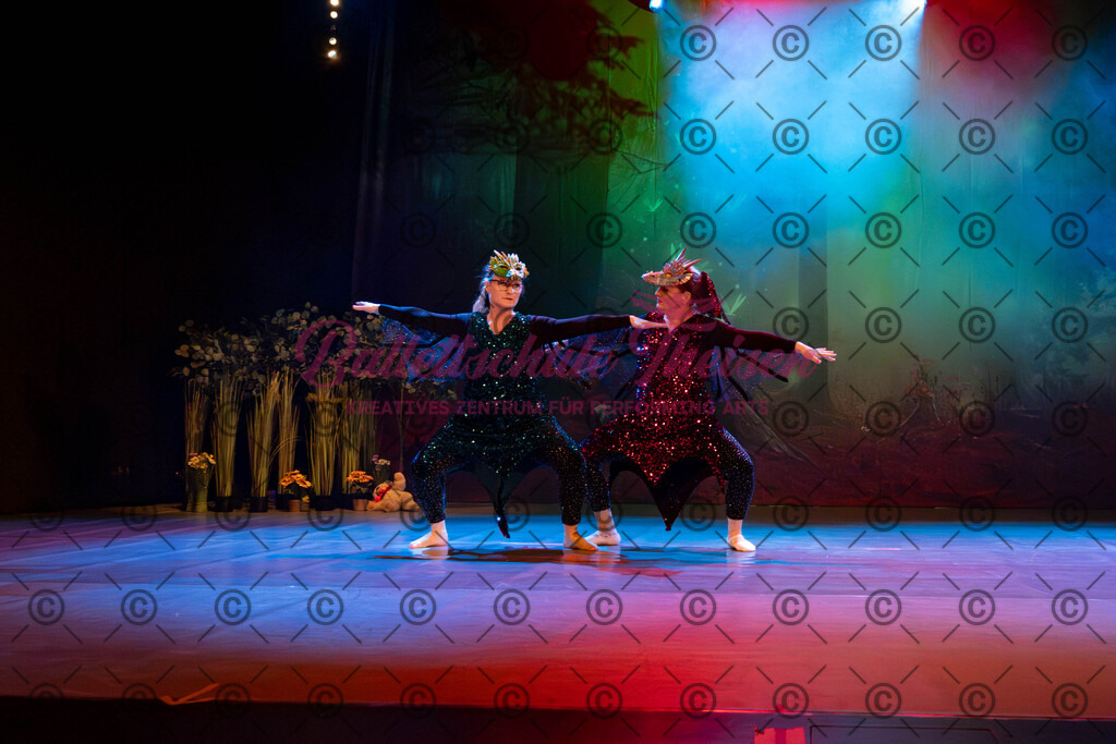 Ballettaufführung-230 | Bildershop Lem'n Entertainment - Realisiert mit Pictrs.com