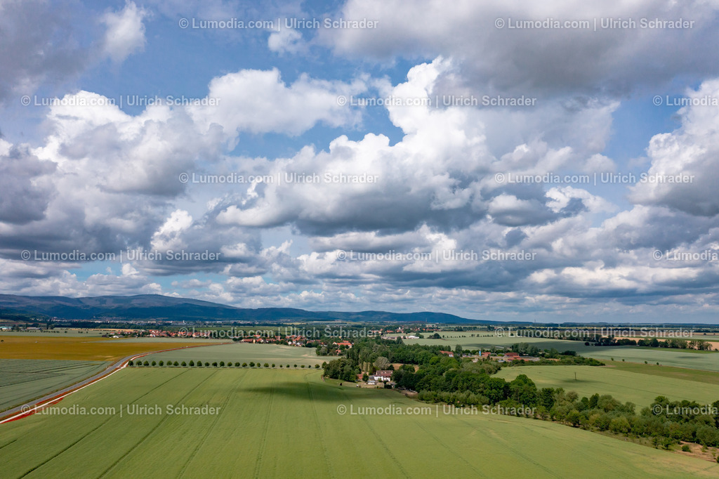 10049-51561 - Harzvorland bei Derenburg | Stockfoto und Bilderpool mit Bildmaterial aus Deutschland, dem Harz, Halberstadt, Quedlinburg, Wernigerode und weltweit. Qualitativ hochwertige und professionelle Fotos anschauen und kaufen. - Realisiert mit Pictrs.com