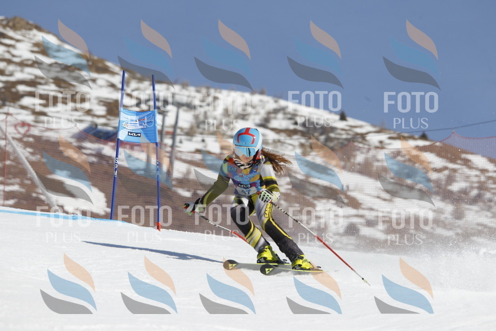 _U3G9346 | holidayphoto