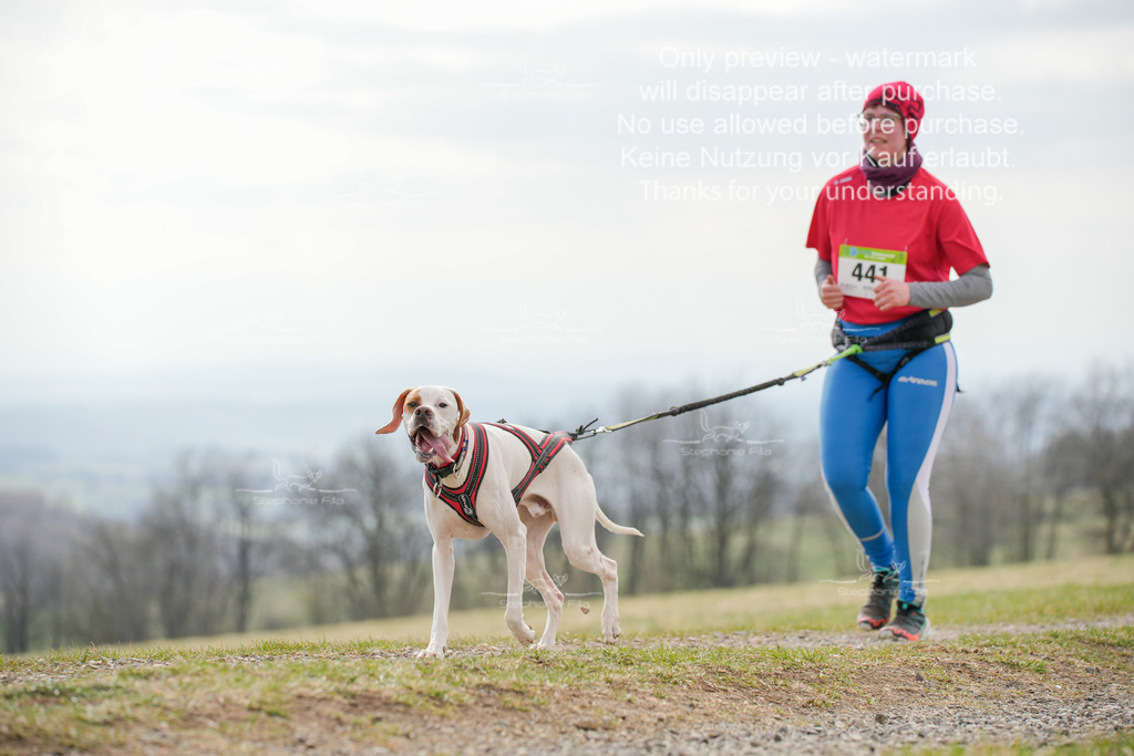 CaniXRunSA-242 | stephaniefillaphotographie - Realisiert mit Pictrs.com