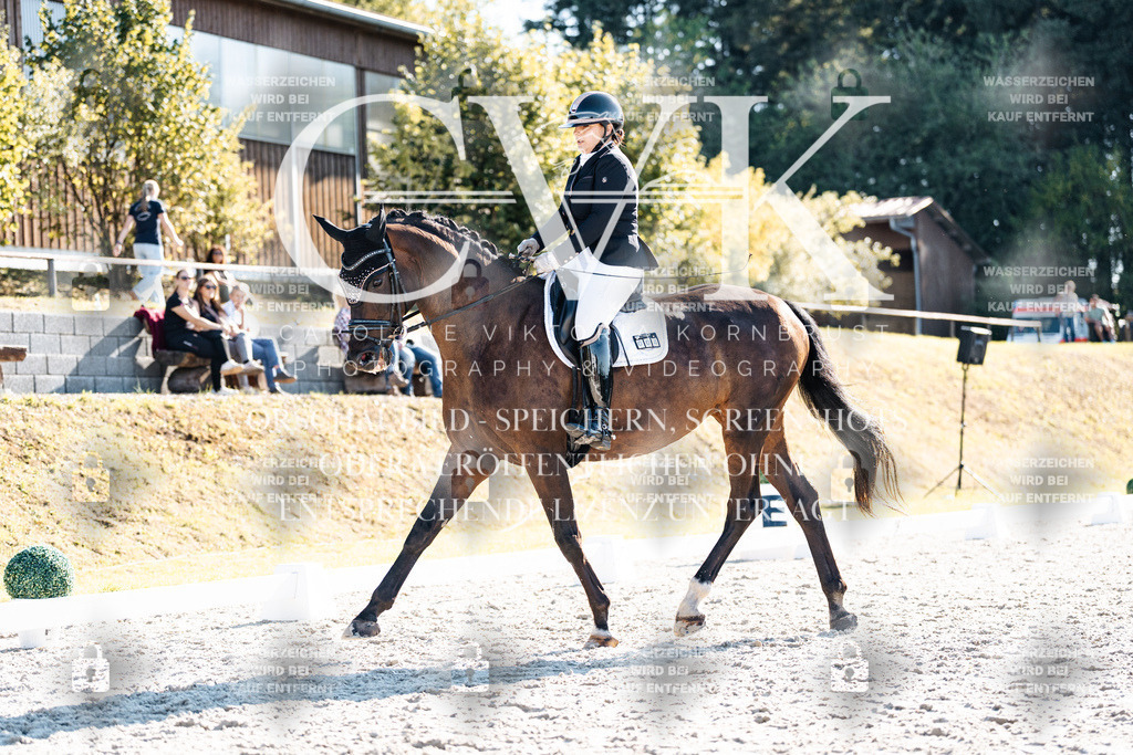 CK906155 | Turnierfotografie Pferdefotografie Trier Rheinland-Pfalz Pferdesport Reitsport Tierfotografie Sportfotografie Pferdevideo Pferdevideografie Equestrianvideography equestrianphotography  - Realisiert mit Pictrs.com