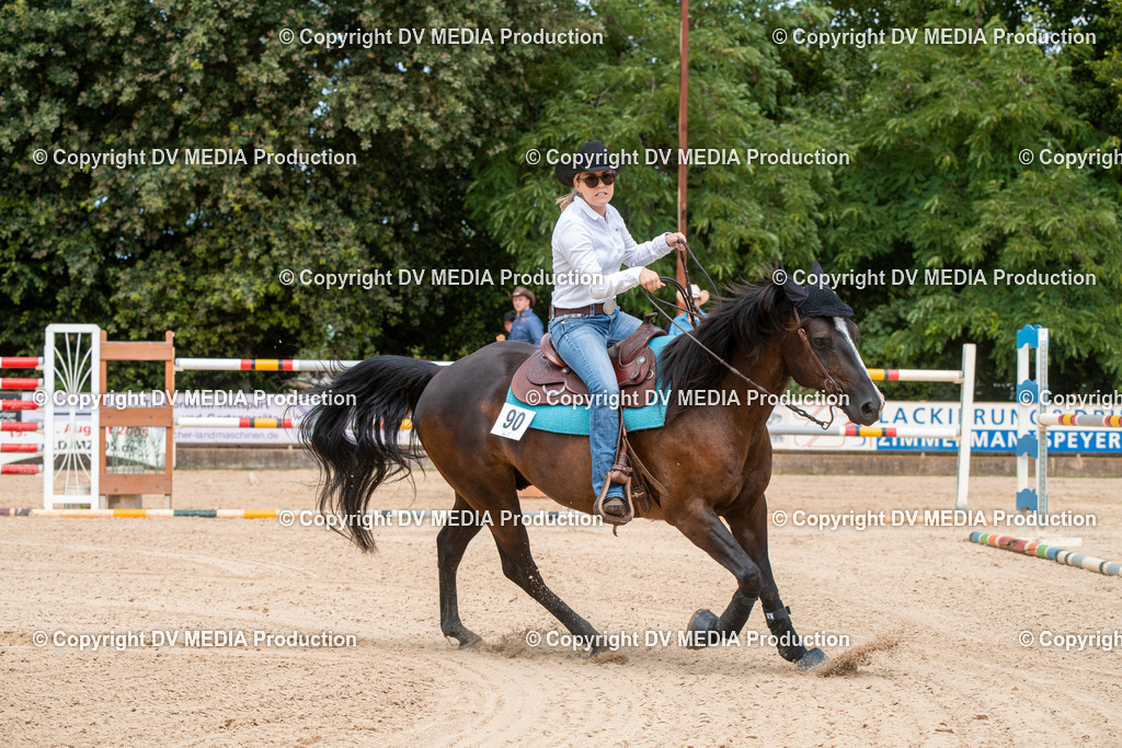 EWP_6221 | dv-media-shop - Realisiert mit Pictrs.com