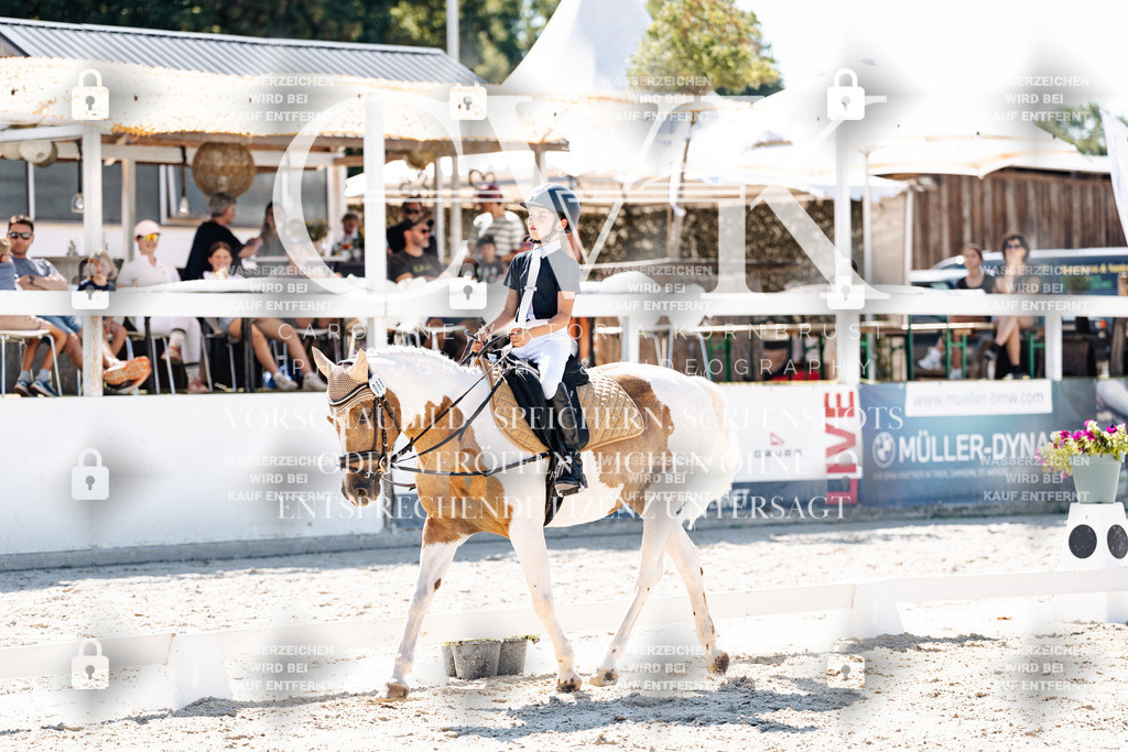 CK902519 | Turnierfotografie Pferdefotografie Trier Rheinland-Pfalz Pferdesport Reitsport Tierfotografie Sportfotografie Pferdevideo Pferdevideografie Equestrianvideography equestrianphotography  - Realisiert mit Pictrs.com
