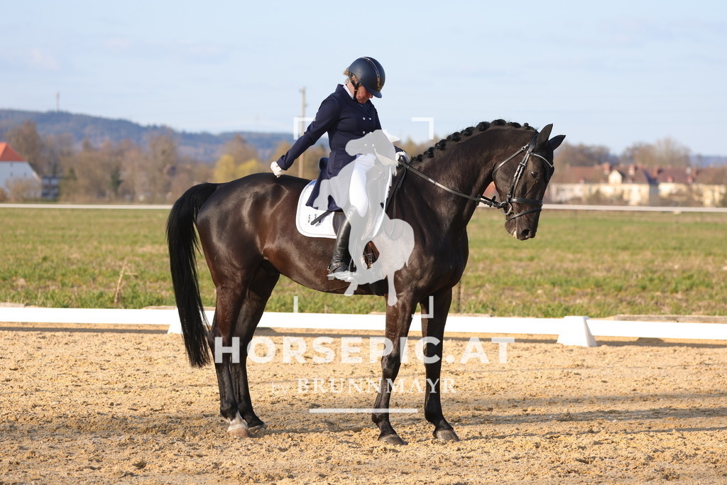 0P6A8226 | Willkommen bei Brunnmayr - Design & Fotografie – Ihrem Spezialisten für Reitturniere und Pferdeveranstaltungen in Oberösterreich, Salzburg und Bayern! Seit über 17 Jahren sind wir leidenschaftlich dabei.