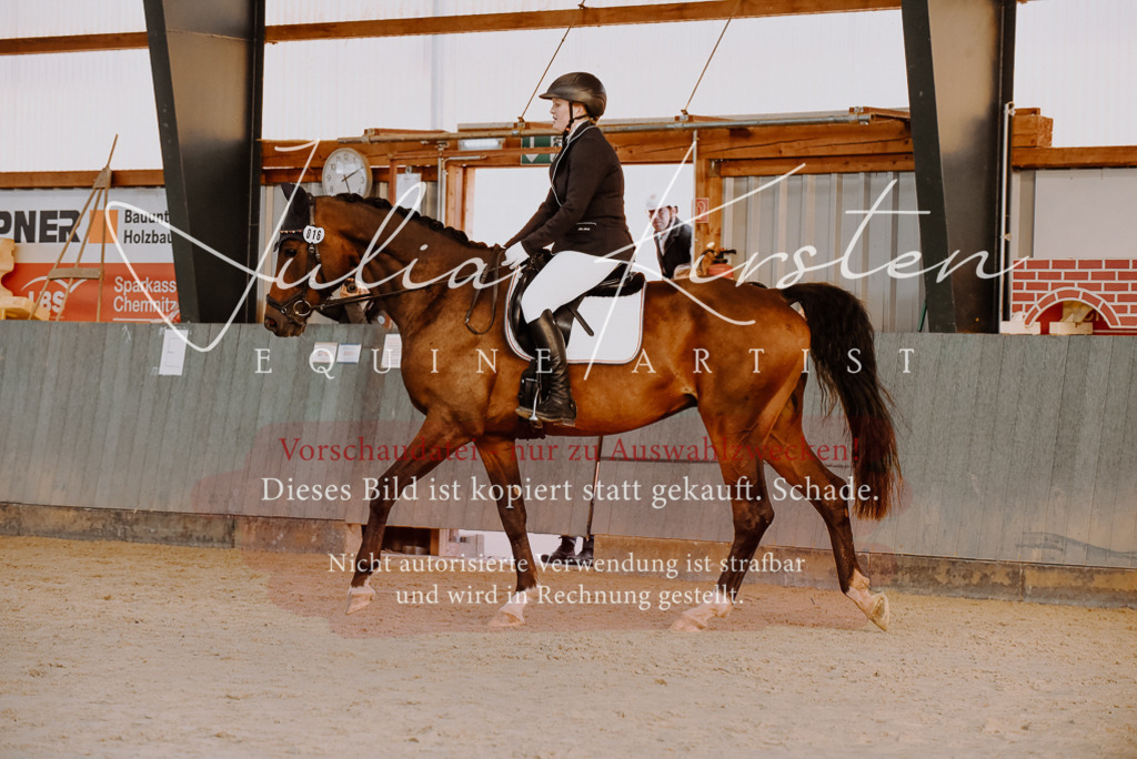DSC_7540 | Pferde- und Turnierfotografie in Westsachsen. Pferdeportraits, Auftragszeichnungen und intuitive Kunst.