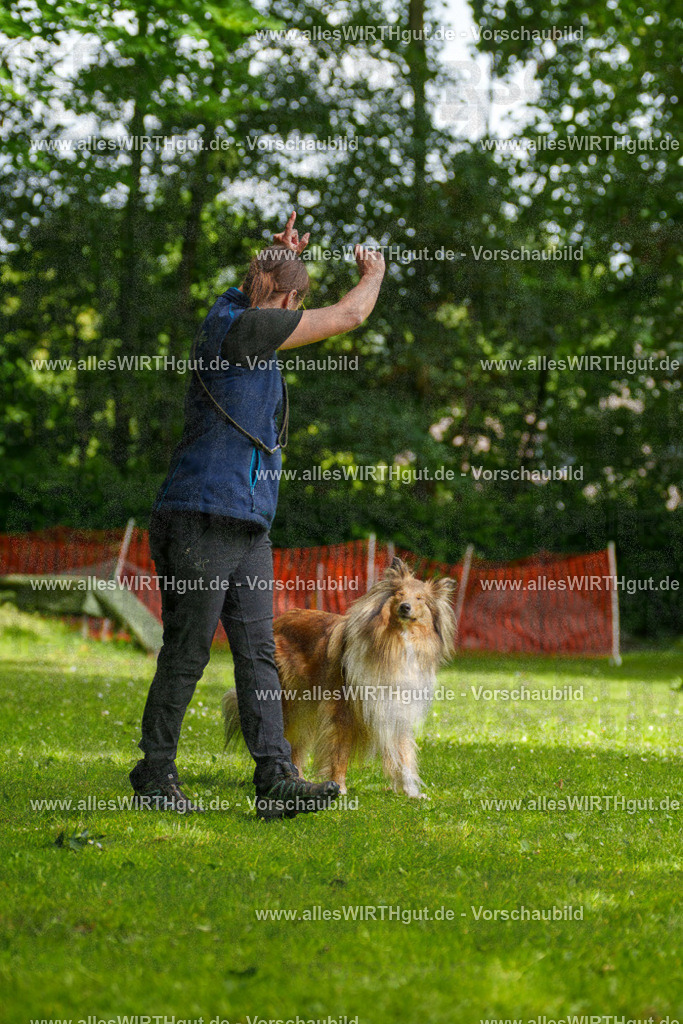 @allesWIRTHgut_Tierfotografie - www.allesWIRTHgut.de - 095428-7R507815 | Professionelle Tierfotografie in Mönchengladbach von Daniel Wirth (allesWIRTHgut). Liebevolle & natürliche Bilder von Hunden & Katzen für unvergessliche Erinnerungen.