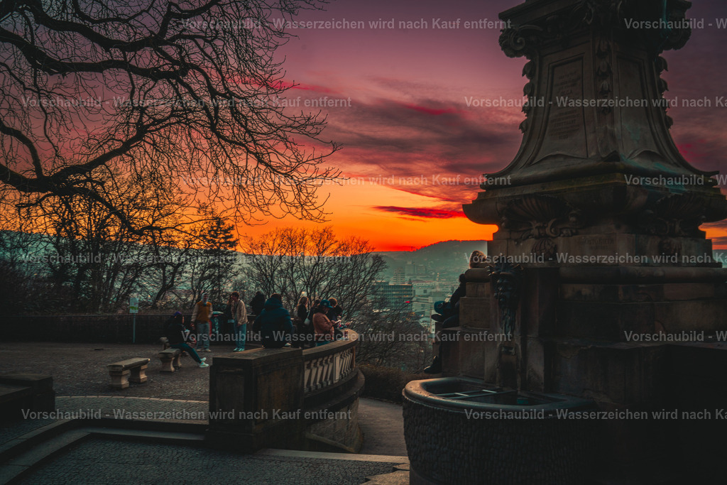 DSC06425 | marcuslinek