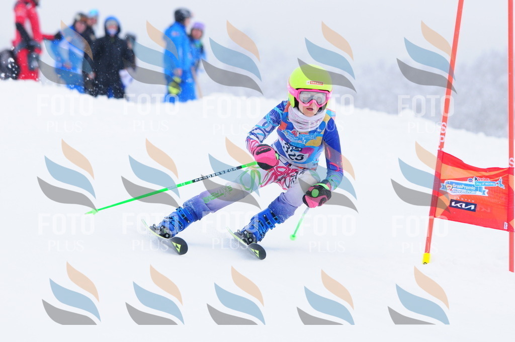 C3447 | holidayphoto