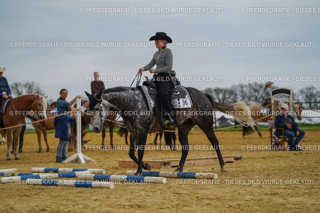 DSC02433 | Pferdegrafie