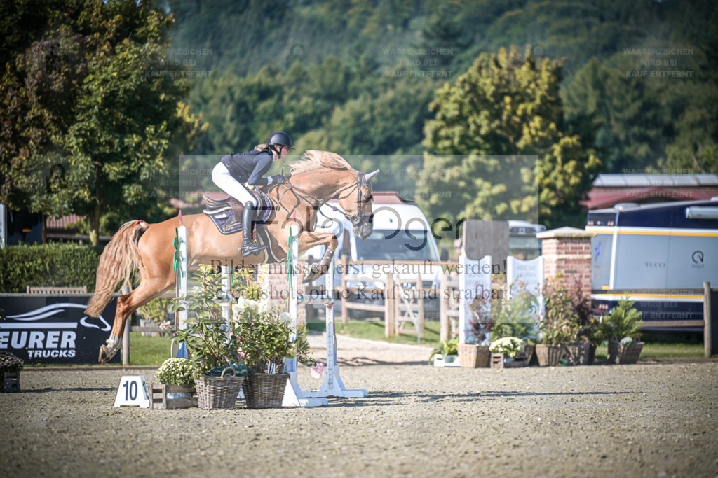 DOS_4131 | Entdecke hochwertige Reitturnierfotos von Foto Oger. Professionell, emotional und authentisch – jetzt Lieblingsmomente im Shop bestellen. - Realisiert mit Pictrs.com