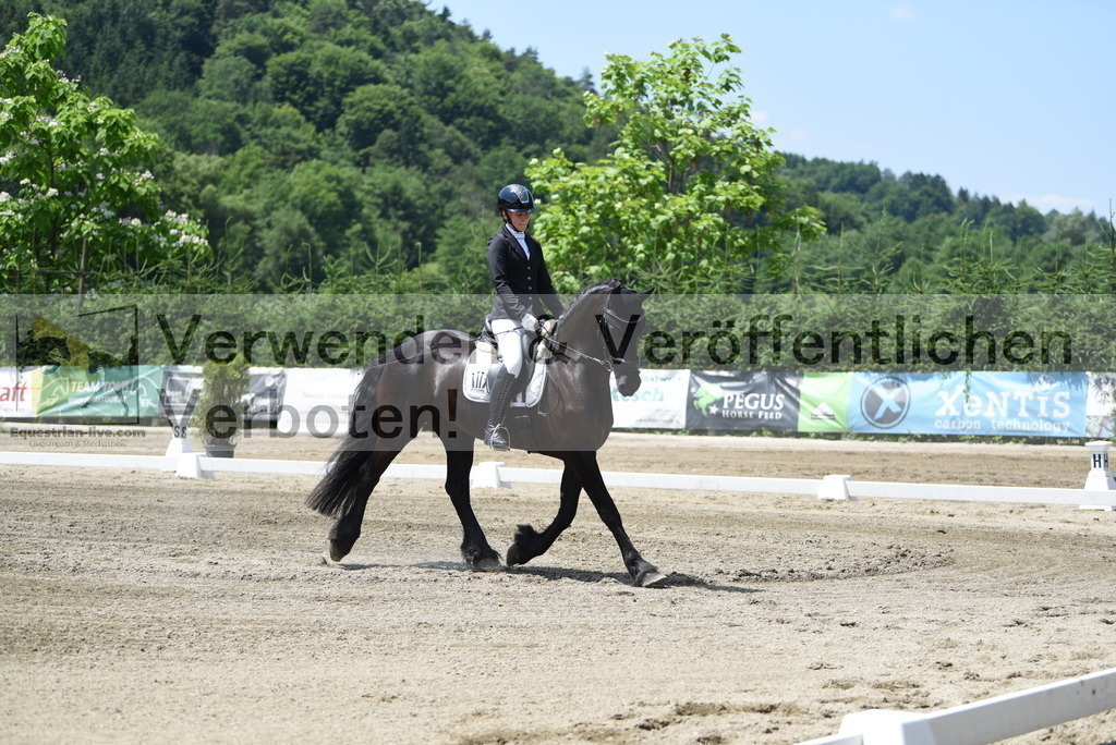 DSC_0446 | equestrian-live-com
