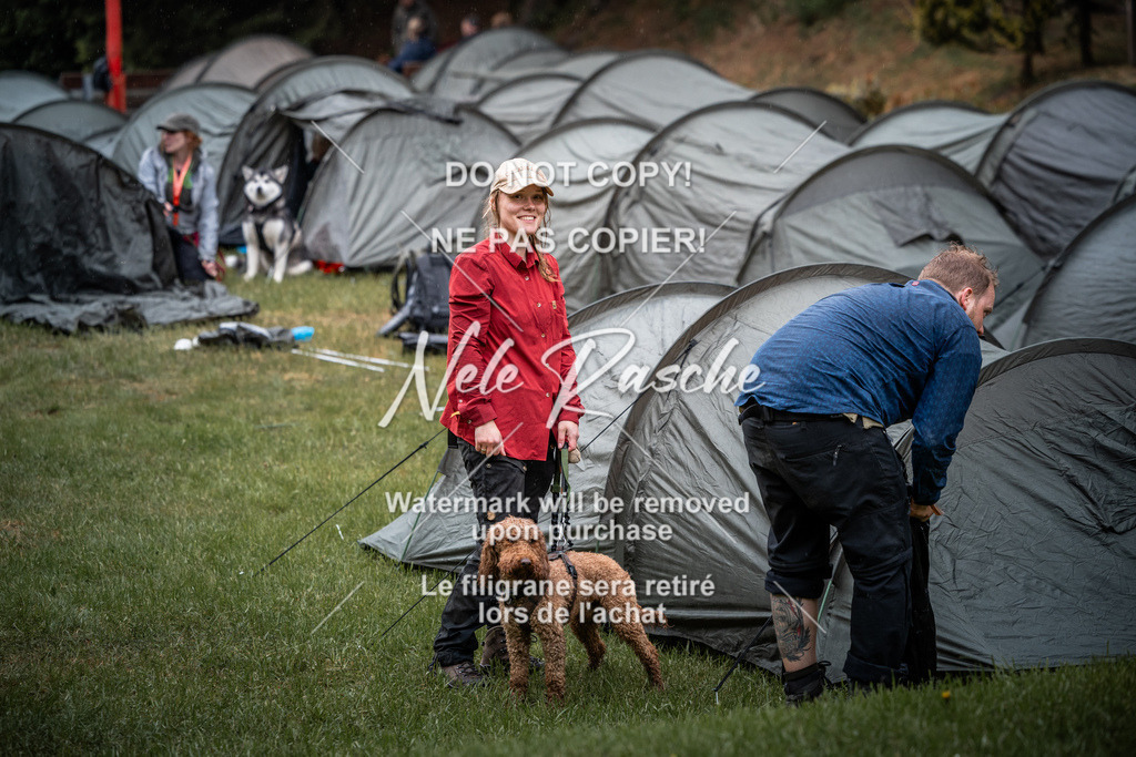 nelerasche_SaAbends_474 | nelerasche
