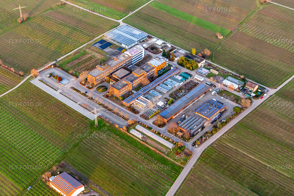 Luftbild: Mußbach, RLP Agroscience GmbH, DLR-Dienstleistungszentrum Ländlicher Raum Rheinpfalz, im Ortsteil Mußbach in Neustadt im Bundesland Rheinland-Pfalz in Deutschland. Foto: IMG_130616.jpg vom 12.02.2022 durch Werner Riehm/FLY-FOTO.deWWW.DLR-RHEINPFALZ.RLP.DE