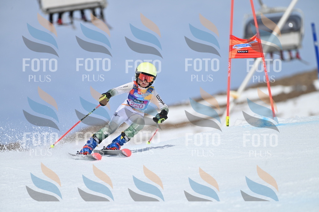 BGV_1312 | holidayphoto