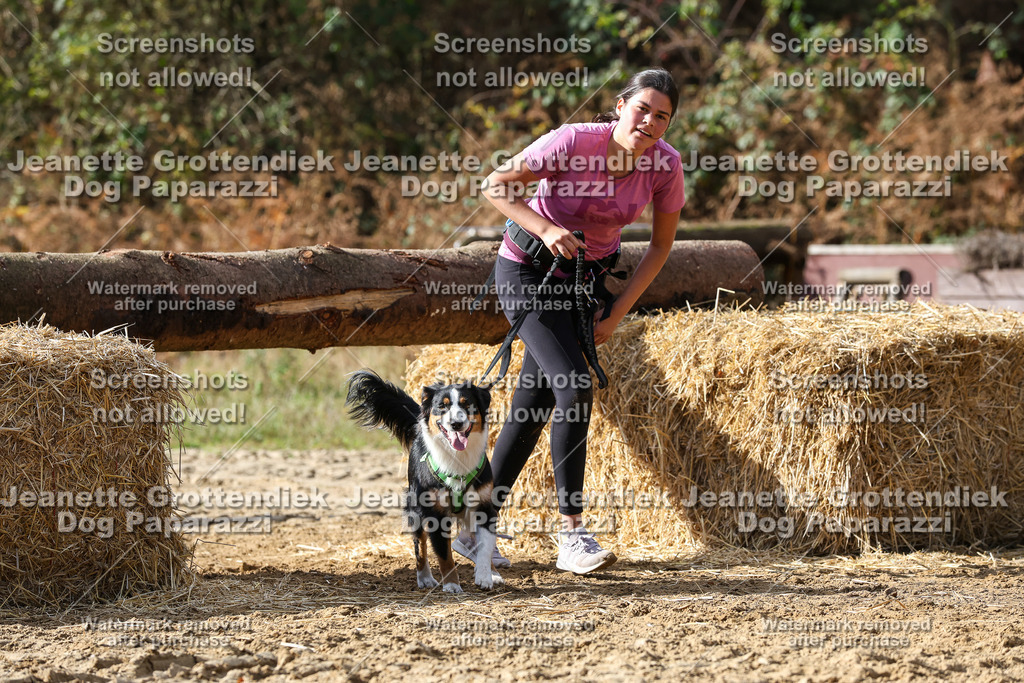 Dog Paparazzi - Strongdog 10-25-5063 | Dog Paparazzi Jeanette Grottendiek Fotografie & Videografie - Realisiert mit Pictrs.com