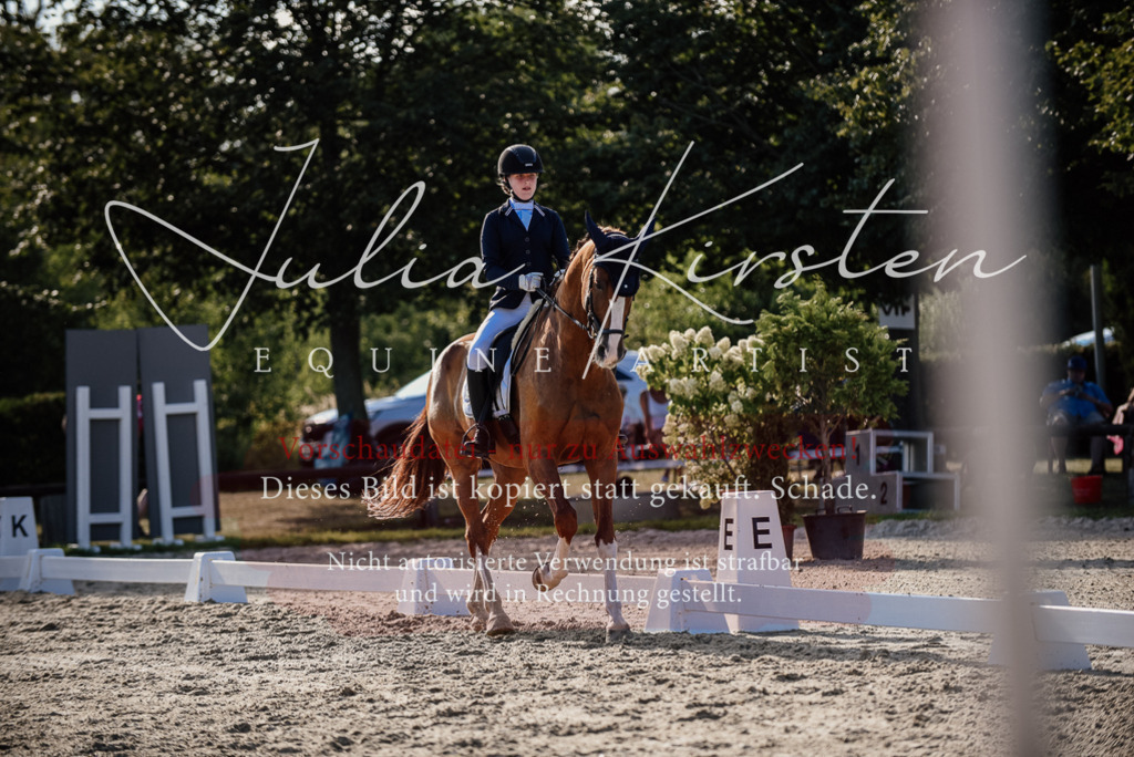 DSC_0531 | Pferde- und Turnierfotografie in Westsachsen. Pferdeportraits, Auftragszeichnungen und intuitive Kunst.