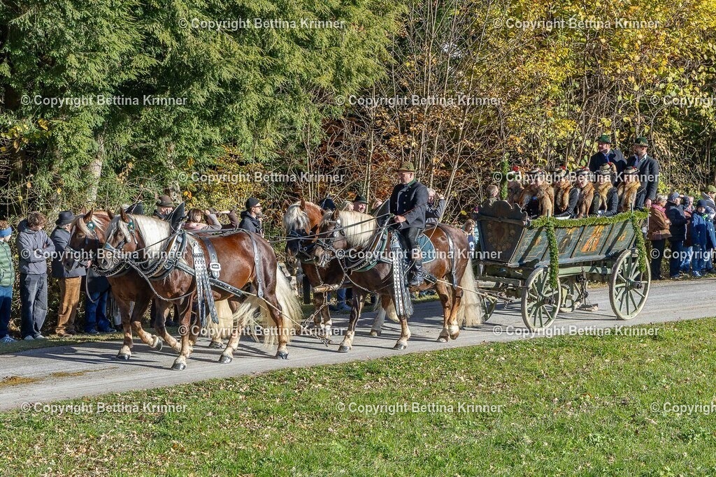 LBT25-560 | foto-bettina-krinner - Realisiert mit Pictrs.com