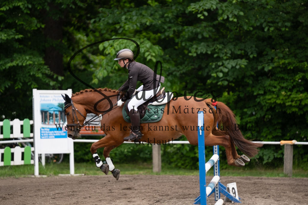 A7V03865 | Pferdefotograf