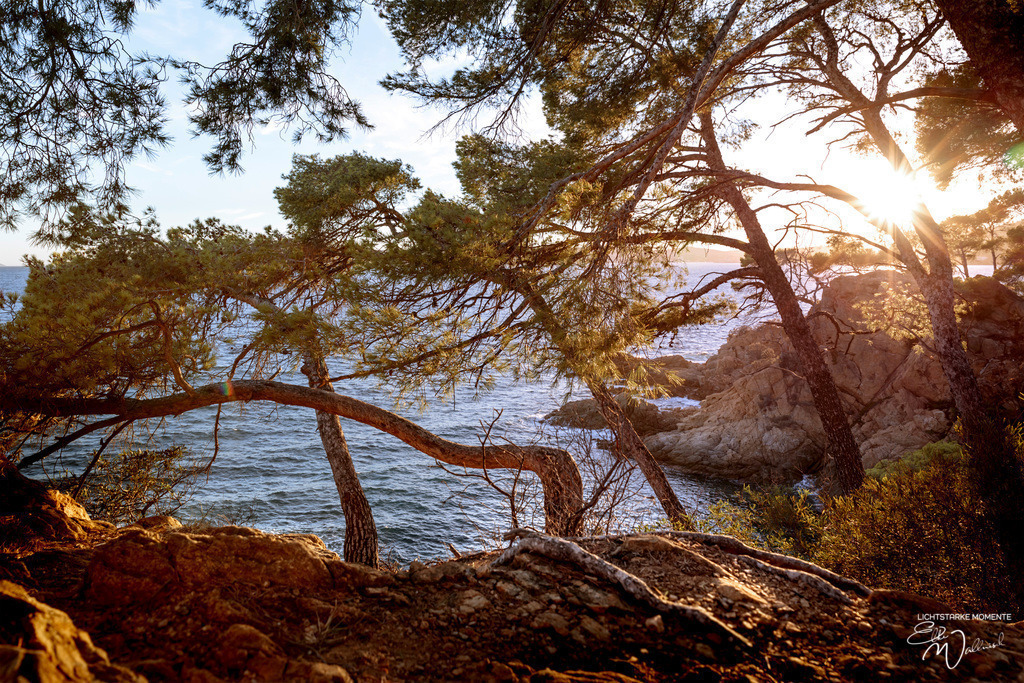 Cap Nègre (Cavaliere, Le Lavandou) | Herzlich willkommen auf meiner Seite! Ich bin Elke Wallnisch, Deine Fotografin für lichtstarke Momente. Der Name steht für alles, was mich mit der Fotografie verbindet: Das Licht und seine machtvolle Wirkung auf eine Situation oder unsere Stimmung - Realisiert mit Pictrs.com