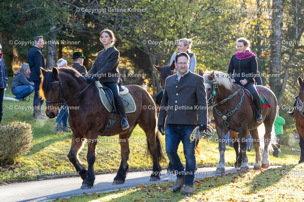 LL24-166 | foto-bettina-krinner - Realisiert mit Pictrs.com