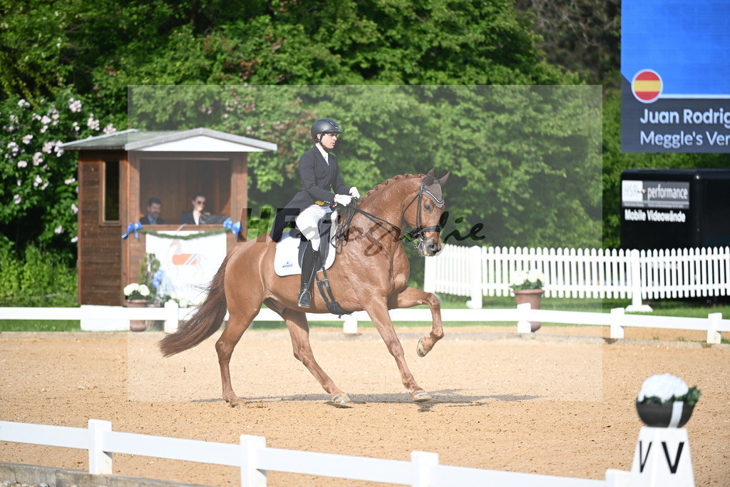 Carvajal_Meggles Verdi_12241556 | hf-fotografie - Realisiert mit Pictrs.com