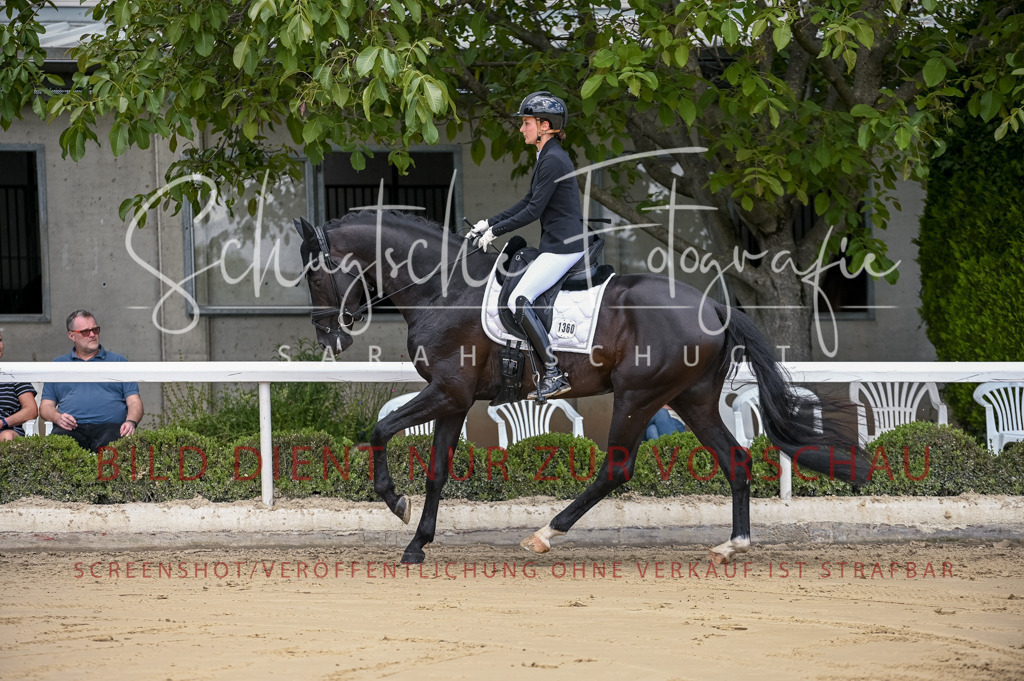 Schugtsche-Aluta25-48.Reitpferfdeprf.-96 | Schugtsche Fotografie - Realisiert mit Pictrs.com