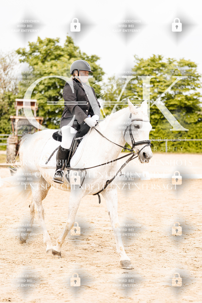CK904796 | Turnierfotografie Pferdefotografie Trier Rheinland-Pfalz Pferdesport Reitsport Tierfotografie Sportfotografie Pferdevideo Pferdevideografie Equestrianvideography equestrianphotography  - Realisiert mit Pictrs.com
