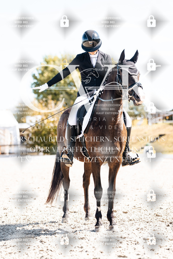 CK909517 | Turnierfotografie Pferdefotografie Trier Rheinland-Pfalz Pferdesport Reitsport Tierfotografie Sportfotografie Pferdevideo Pferdevideografie Equestrianvideography equestrianphotography  - Realisiert mit Pictrs.com