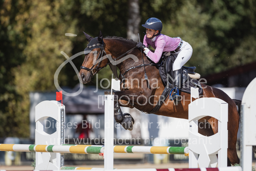 220824_Delbrueck_Stil-M1-223 | Deine schönsten Turniermomente als professionelle Fotos! Entdecke hochwertige Pferdesport-Fotografie im Online-Shop. Jetzt Fotos finden & bestellen!