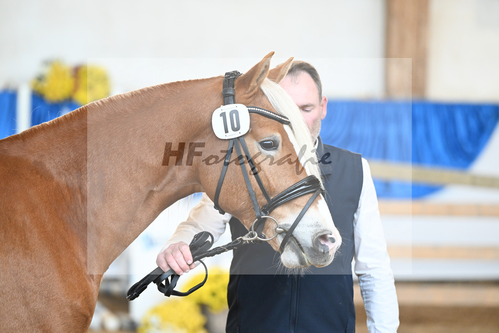 Kat-Nr. 10 Ellenborns Atemlos v. Abendwind_Schwarz_48250087 | hf-fotografie - Realisiert mit Pictrs.com