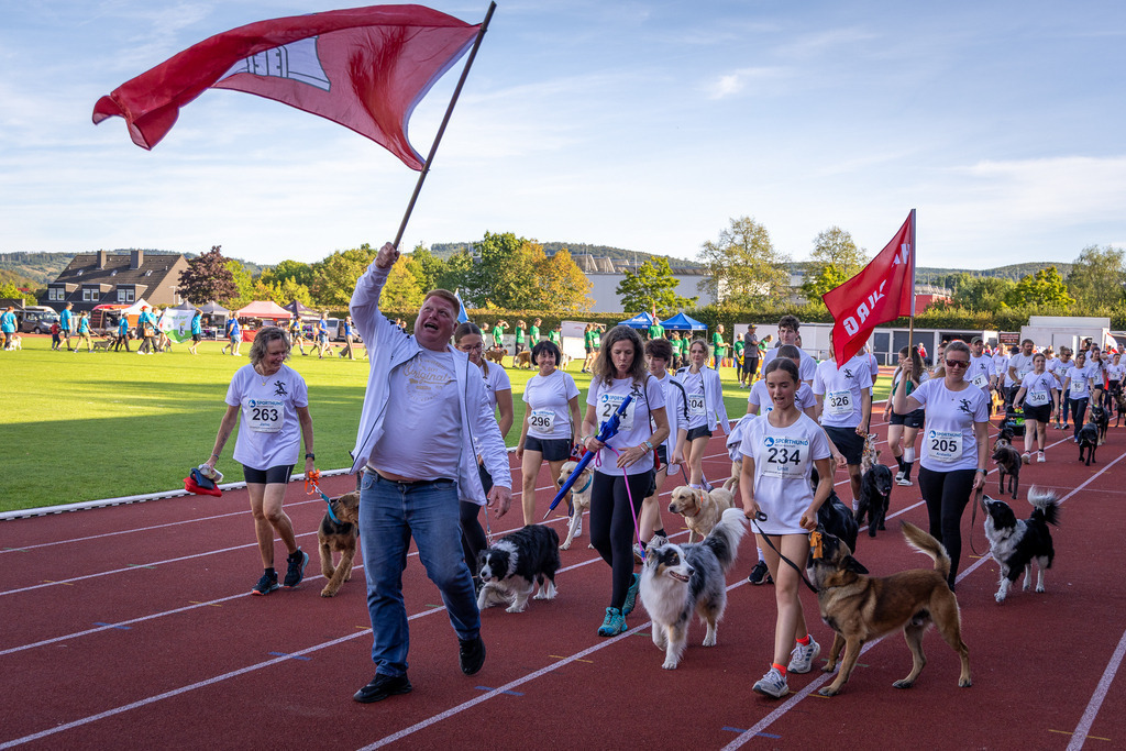Pfotenfotografie_DV3A4280-2 | Hundefotografie, Tierfotograf, Pfotenfotografie, Fotoshooting Hund, Hunde Portrait, Hundesport, Hundeportraits, Heideshooting, Hunde, Sportfotograf, Hundefotograf, Turnierhundsport, THS,  - Realisiert mit Pictrs.com