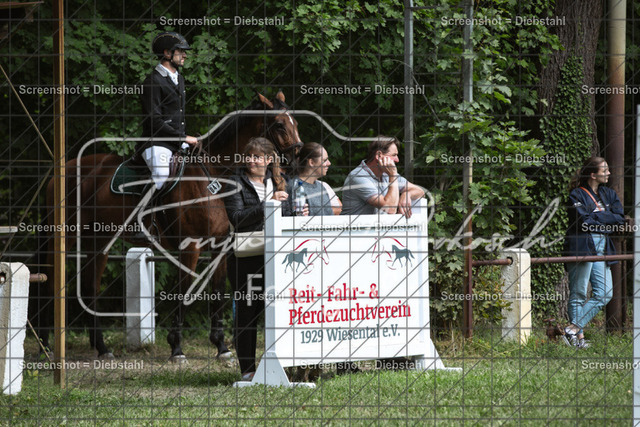 _W6A1910 | ronjaprokoschfotografie - Realisiert mit Pictrs.com