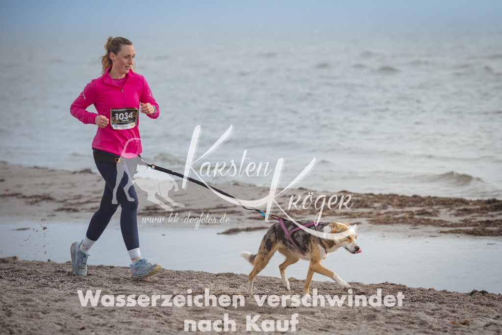 1134_ZZ99439 | kk-dogfotos